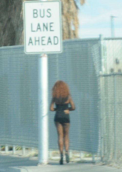 So that’s what a bus lane looks like. adult photos