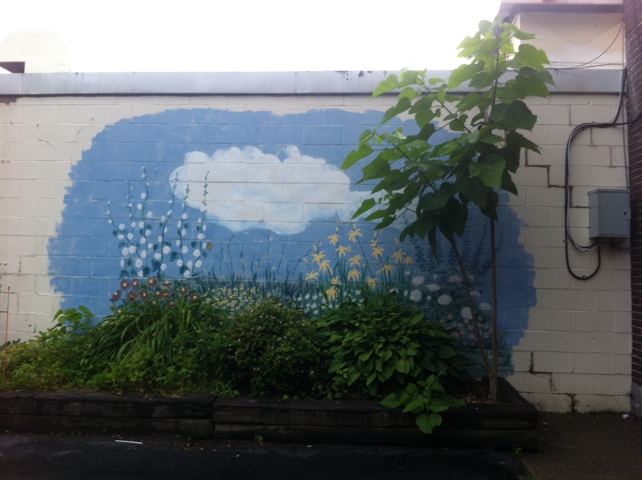 leafla:  little mural painted on the side of the laundromat to brighten up our little