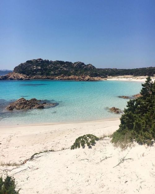 La spiaggia Rosa di Budelli in una foto di Carolina Pizzoccheri @carolinapizzoccheri Mostrate la b