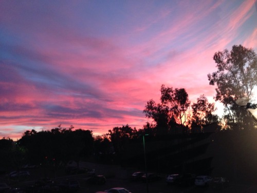 Sunset from my office window.