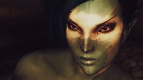 Anis Verethi before escaping Helgen