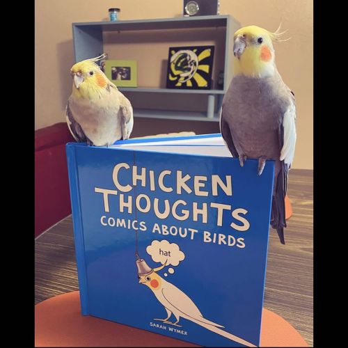 Got our #chickenthoughtsofficial book ❤️ @chickenthoughtsofficial #bird #birds #cockatiel #cockatiel
