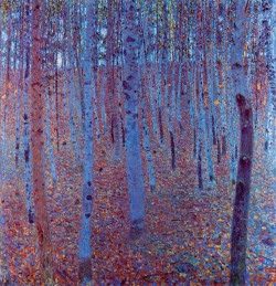 ein-bleistift-und-radiergummi:  Gustav Klimt ‘Beech