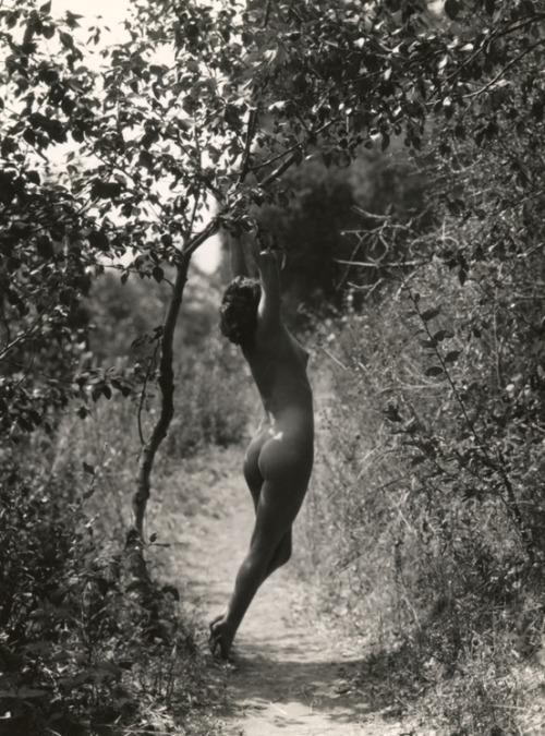 Porn Pics  Edwin Bower Hesser, c 1920s-30s 