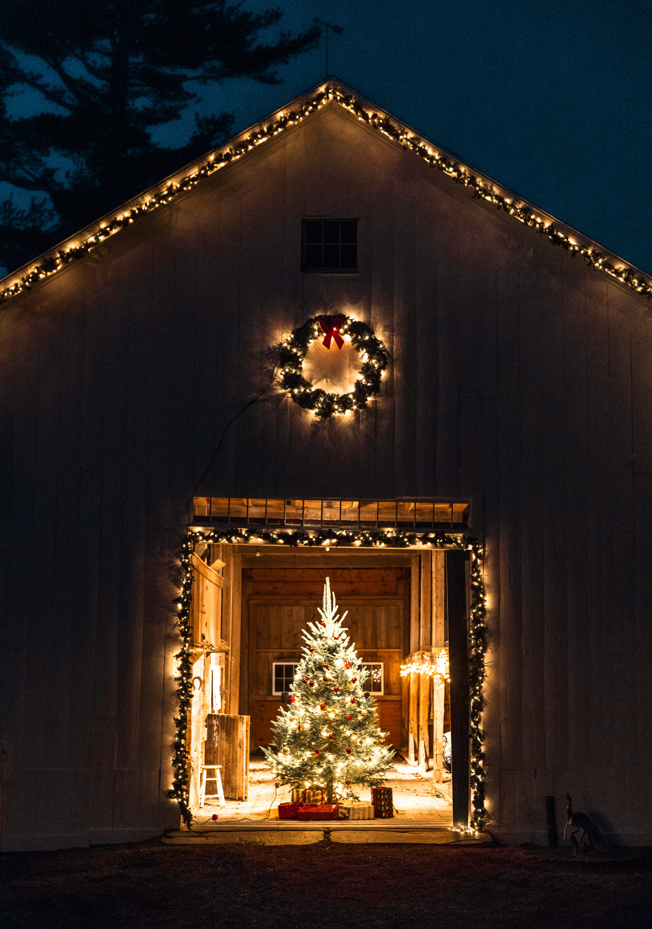 northernrarity:  prettypicsdelightfultips:  http://www.prettypicsdelightfultips.tumblr.com