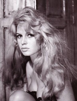fybombshells:  Brigitte Bardot 