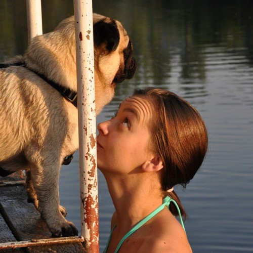 No treats, no kisses. End of story. #nutellothepug #vacation #dog #pug #unariver #nature