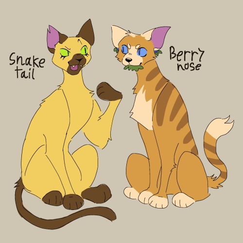 Started Working On My Warrior Cats Story. Here Are All The Important Characters That Have Speaking Roles!