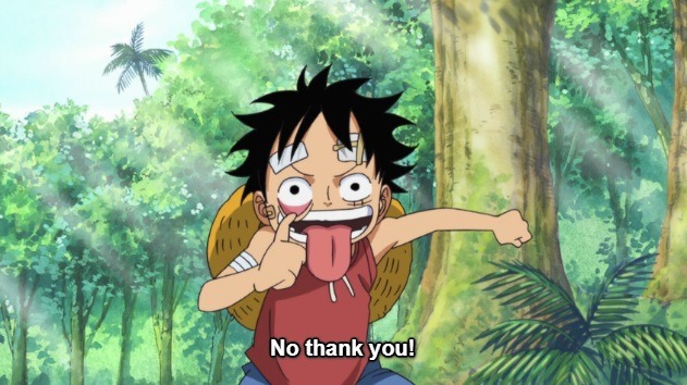 Never Watched One Piece — 493: “Luffy and Ace! the Story of How the  Brothers