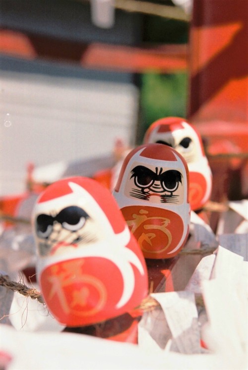 Happy daruma