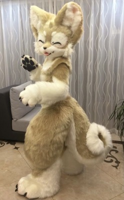 conbadge:🐕