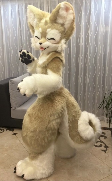 conbadge:🐕
