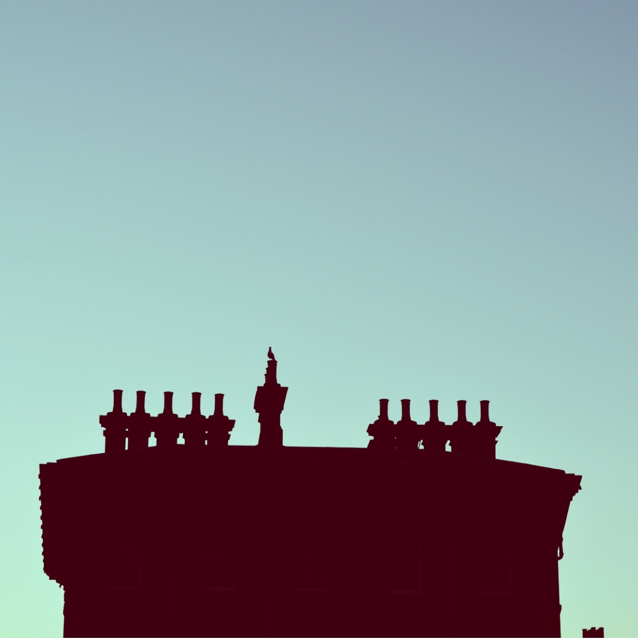 swapnil1690:  Silhouette and a pigeon. 