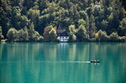 allthingseurope:  Lake Bled, Slovenia (by