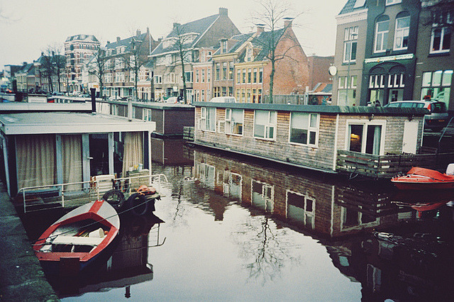 violetsnail:  Eurosonics 2012 (by Diane Sagnier)