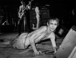 icky-pop:Iggy Pop