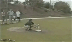 gifss-heaveen:  Crazy Cute Win Funny Fail Gifs! !