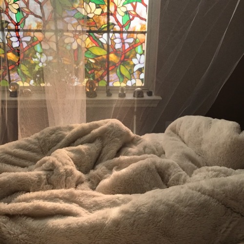 hestiaswitch:For real though one of my life goals is to have a casual window in my house that is com