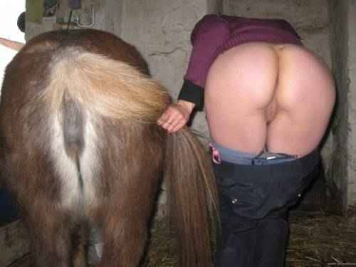 hotbarn:  ♥ for the mare, reshare for the pussy  Not sure which one is tighest