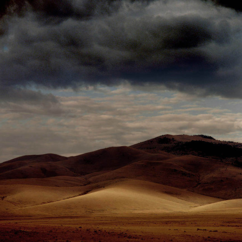 movementandwonder:  Michael Eastman - Landscapes 