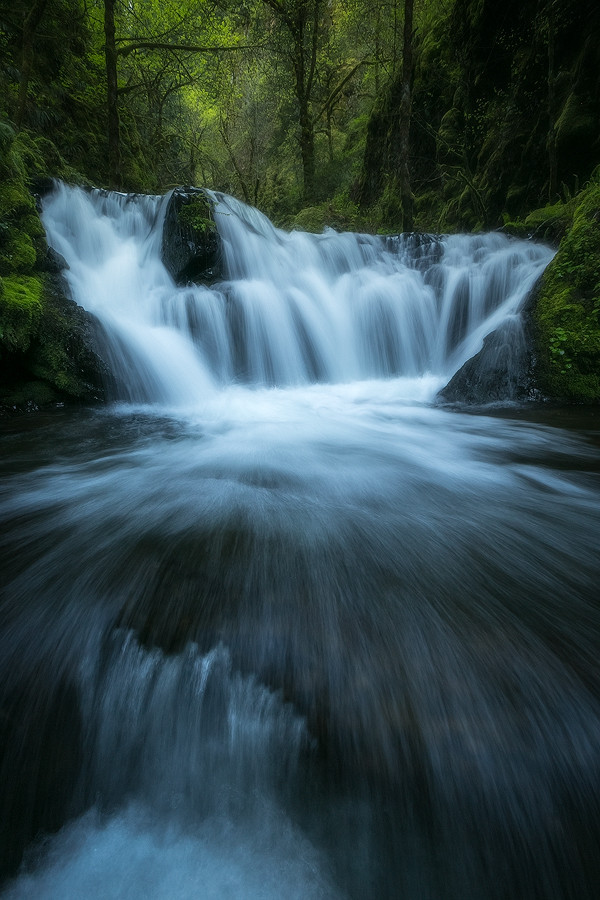 vicariousplacebo:  Emerald Beckoning by scottyperkins 