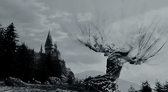 lordes: Do not pity the dead, Harry. Pity the living, and above all, those who live