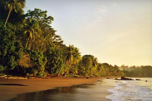 explorelatinamerica:Drake Bay - Costa Rica