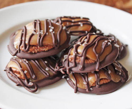  Turtle Candies 