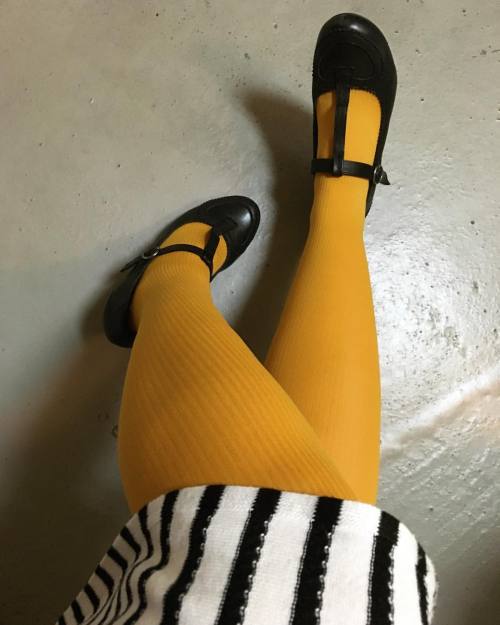 Stripes on #stripes #mustardtights #tights #nylons #hosiery #pantyhose #stockings #ootd #hoseb4bros