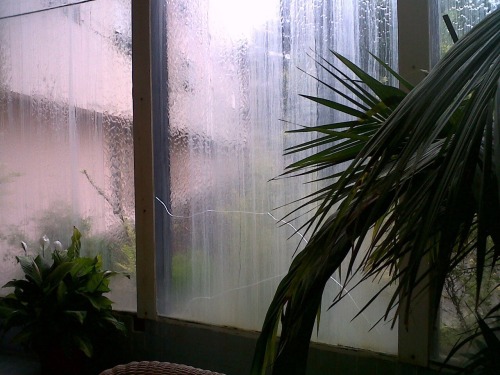 tumblr photo mykallaa 1