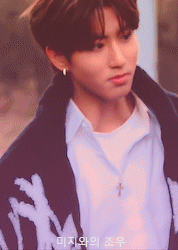 What Breed Is He? Just A Little Boy