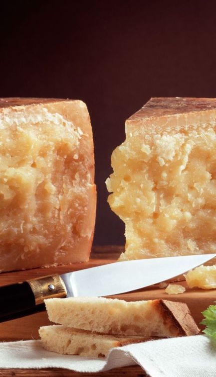 the-italian-food:Pecorino Sardo DOP