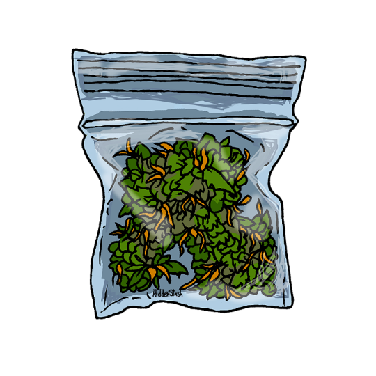 ifyourereadingthisismyurl:    TRAP$OUL   