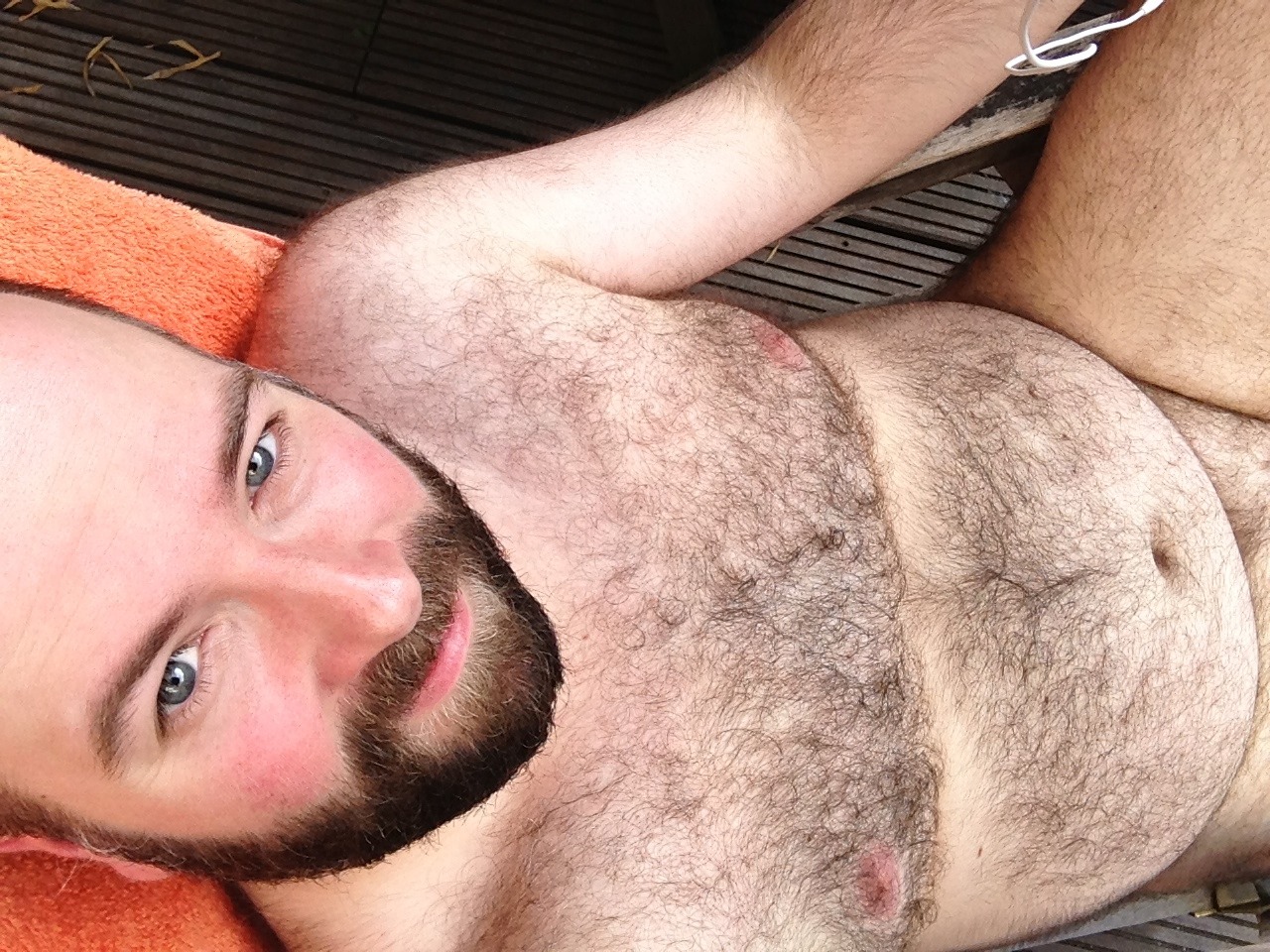 gltbears:  Bongo tummy