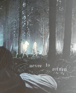  lotr meme: three races [3/3] » elves They were valiant, but the history of those