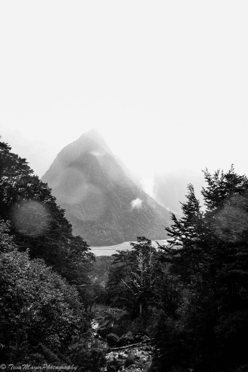 Mountain StudyRouteburn Great Walk, New Zealand