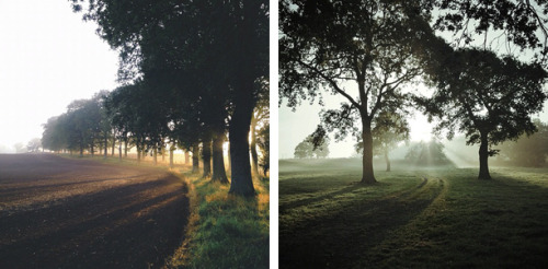 foxmouth:  Instagram, 2014 | by Finn Beales + @finn on Instagram