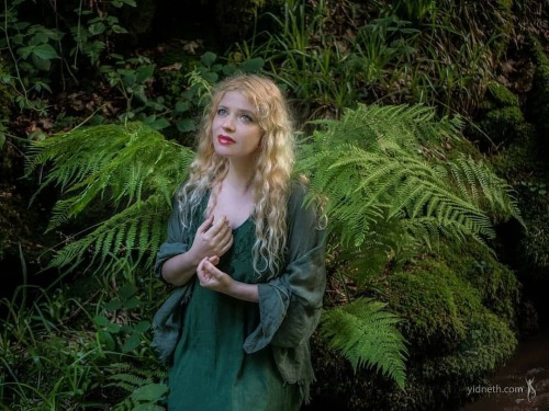 The Fern Flower, Bracken FernMythology and St John’s Eve / mythologyMany myths and legends sur