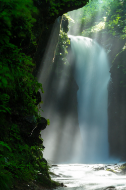 tulipnight:  Crepuscular rays on deep forest waterfall by KG_2011 on Flickr. 