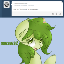 askflowertheplantponi:  askflowertheplantponi: