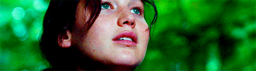 softjimis:  Happy Hunger Games! And may the odds be ever in your favor! 