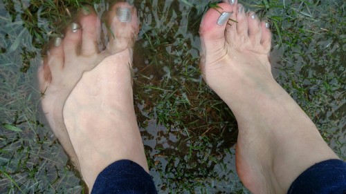 XXX themissarcana:  Icy rain has flooded my front photo