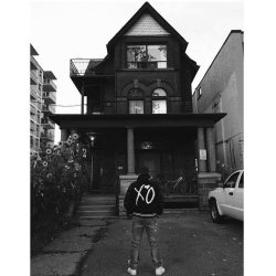 echoes-of-xo:The Real House of Balloons (65 Spencer Ave, Toronto) whoa