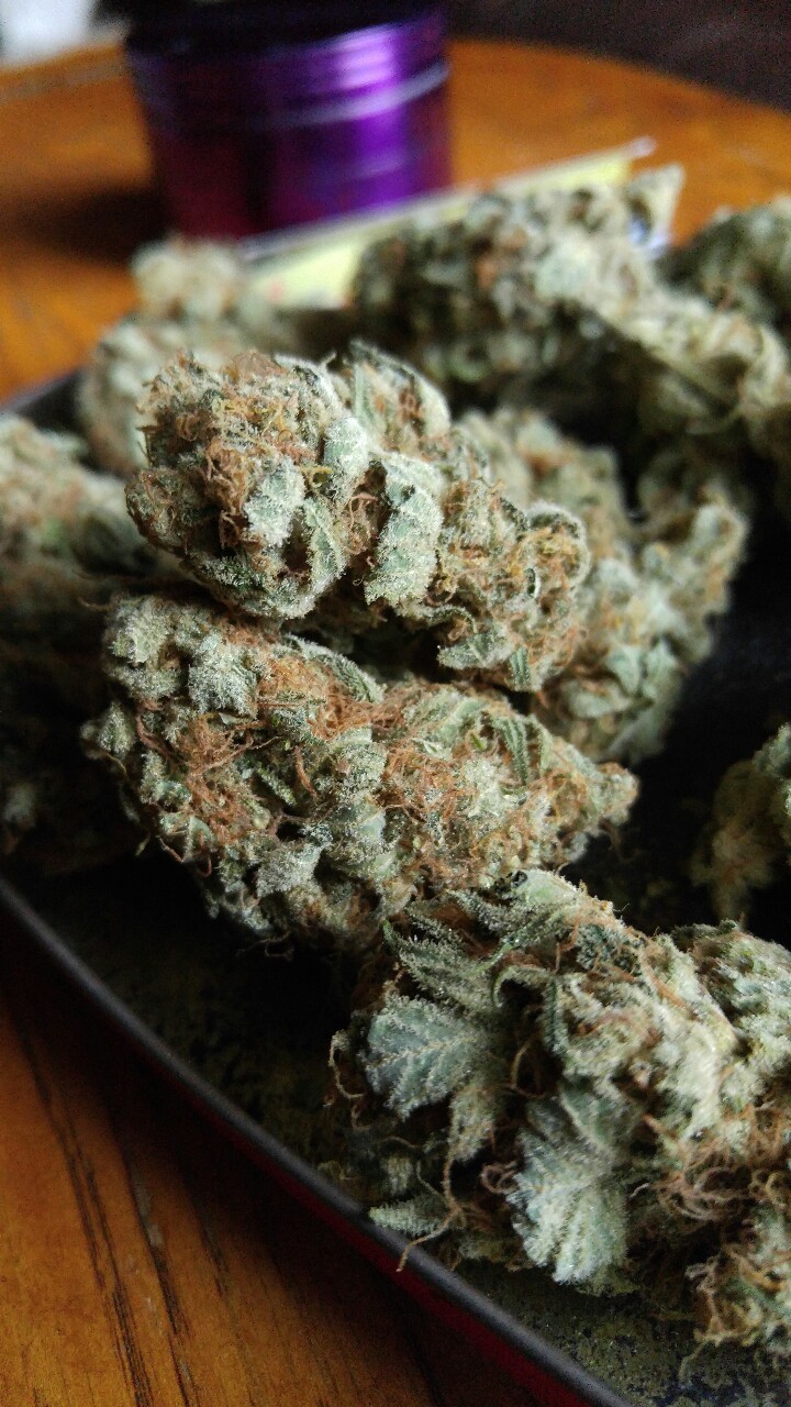 weed-breath:  Grape God