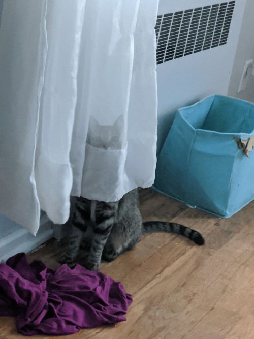You Cannot See Her