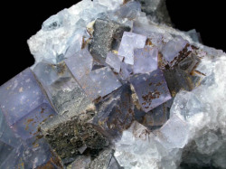 fuckyeahmineralogy:  Fluorite with Anglesite on Galena; Royal Flush Mine, New Mexico