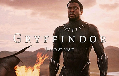 chardwic: Black Panther Characters + Hogwarts Houses
