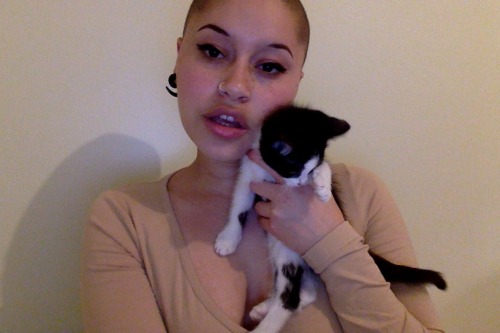 lorhapalmer:  lost files