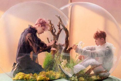 mslittlerinran: Guys you know, when I first time saw Jimin and Jungkook photos they seemed similar t