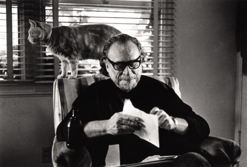 magictransistor:Charles Bukowski and a cat.